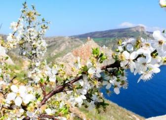 Какая погода в Крыму в апреле